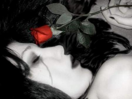 rose rouge